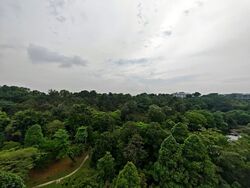 Normanton Park (D5), Apartment #553987501